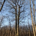 Dscn7112