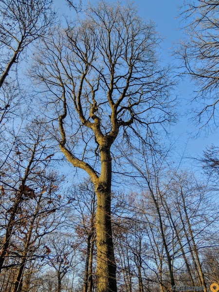 Dscn7113.jpg