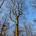 Dscn7113