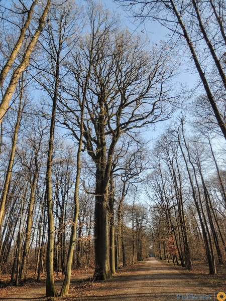 Dscn7114.jpg