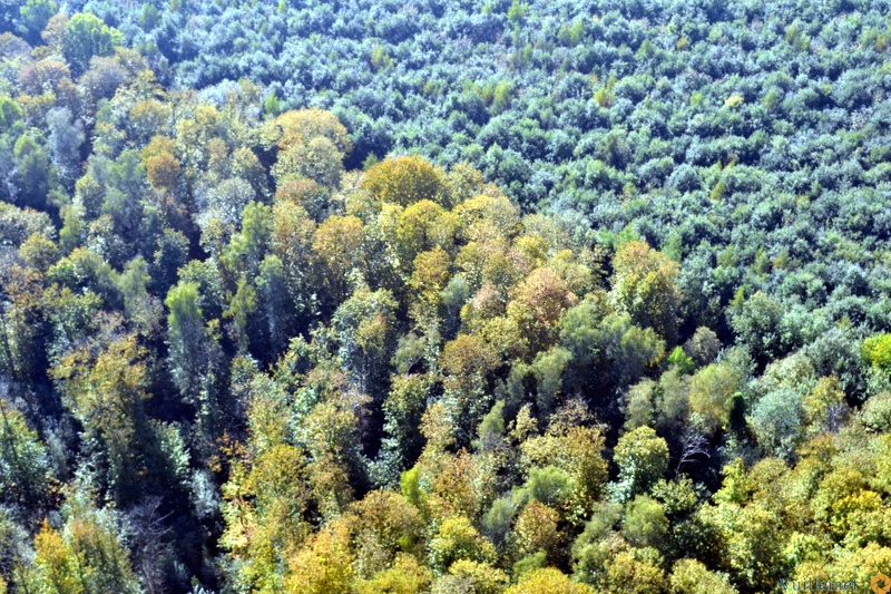 Domont et sa région vue du ciel 