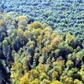 Domont et sa région vue du ciel 