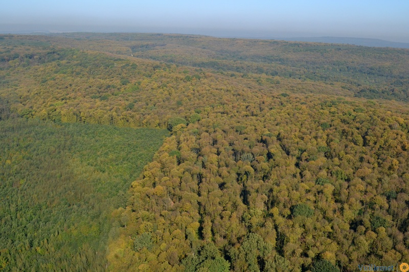 Domont et sa région vue du ciel 