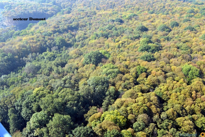 Domont et sa région vue du ciel 