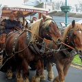 Marché de noel du 13 décembre 2015