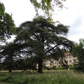Château de Franconville