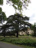 Château de Franconville