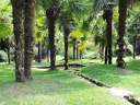 DSCN0924