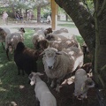 Le départ parc de la Mairie