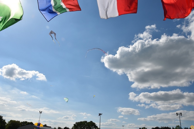 Festival de cerfs volant 