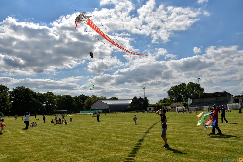 Festival de cerfs volant 