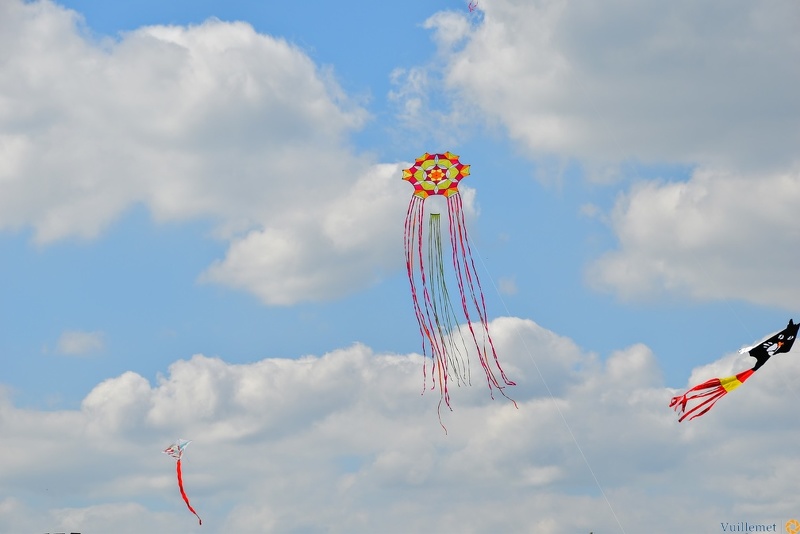 Festival de cerfs volant 