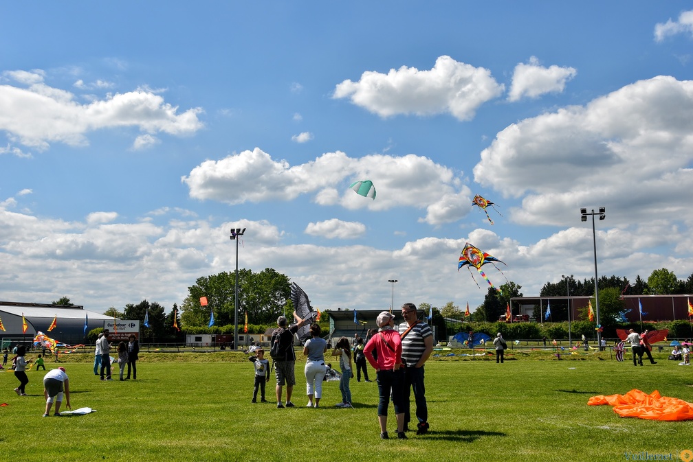 Festival de cerfs volant 