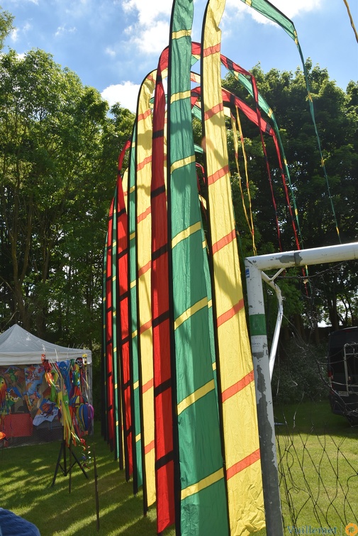 Festival de cerfs volant 