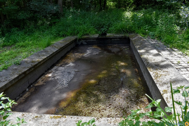 Il était abrité par une toiture inclinée vers l'intérieur (impluvium) afin de récupérer l'eau de pluie. Alimenté par une source a droite du cliché .(accessible au public ) D0M_0075.jpg