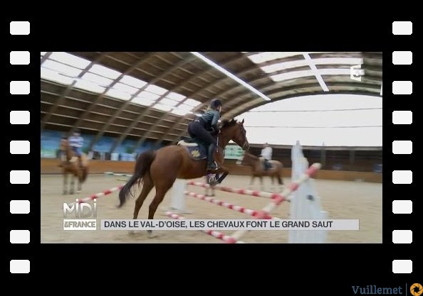 ANIMAUX : Dans le Val d'Oise, les chevaux font le grand saut