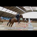 ANIMAUX : Dans le Val d'Oise, les chevaux font le grand saut