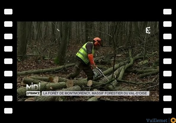 VU D'ICI : La forêt de Montmorency, massif forestier du Val d'Oise