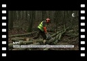 VU D'ICI : La forêt de Montmorency, massif forestier du Val d'Oise